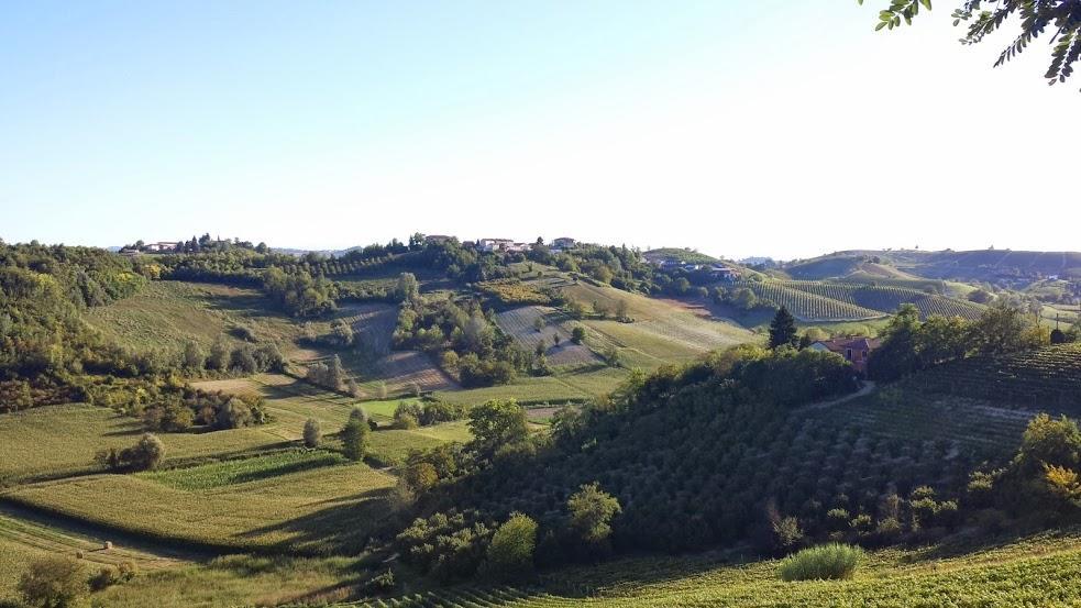 Alta Villa The Countryhouse Adults Only Boutique Bnb Vigliano d'Asti Εξωτερικό φωτογραφία